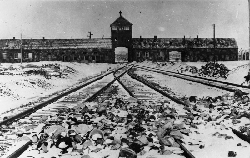 Förintelsens minnesdag på 75-årsdagen av Auschwitz befrielse